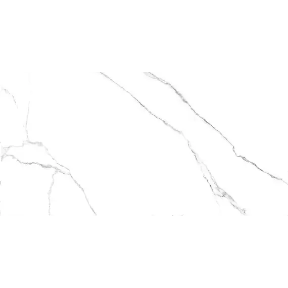 Керамогранит Гордость / Pride Белый 30x60 _ 1\46,08