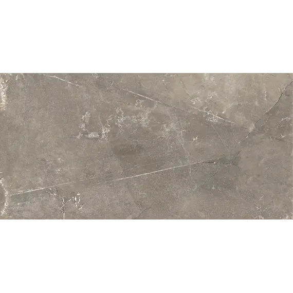  Настенная плитка Силуэт / Siluet Кор. 25x50 _ 1\74,25