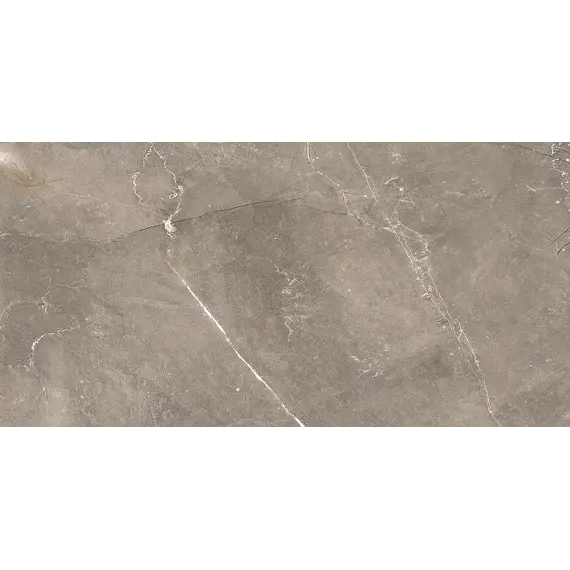  Настенная плитка Силуэт / Siluet Кор. 25x50 _ 1\74,25