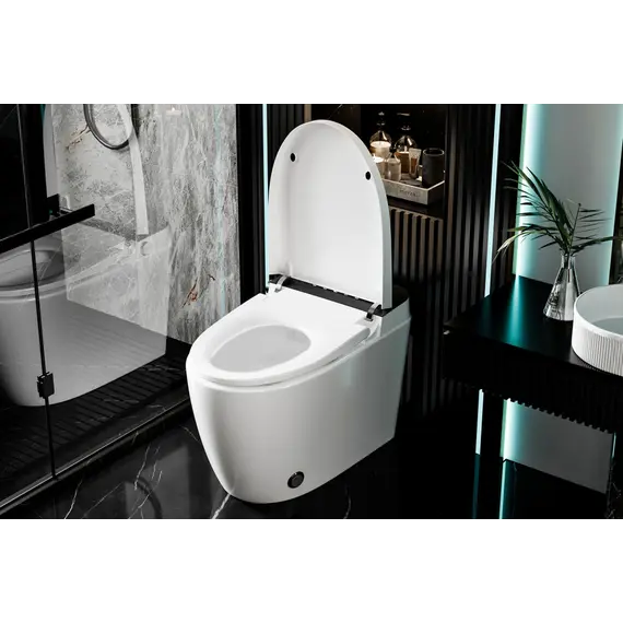 Электронный унитаз-биде ABBER Bequem AC1116S приставной белый