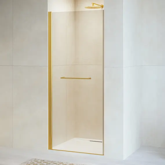 Душевая дверь RGW PA-103Gb прозрачное  стекло