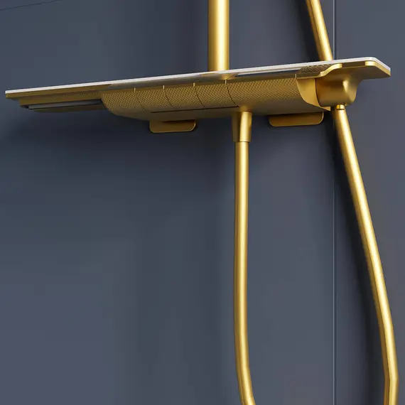 Душевая стойка  RGW SP-34G с термостатом