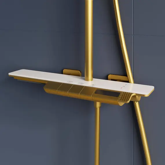 Душевая стойка  RGW SP-34G с термостатом