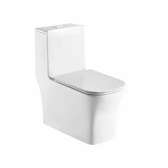 Унитаз напольный  WW GLANBACH 001 GL-WT  моноблок