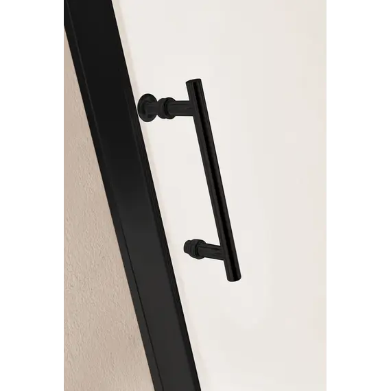 Душевая дверь CEZARES ECO-O-BF-1-120-C-NERO