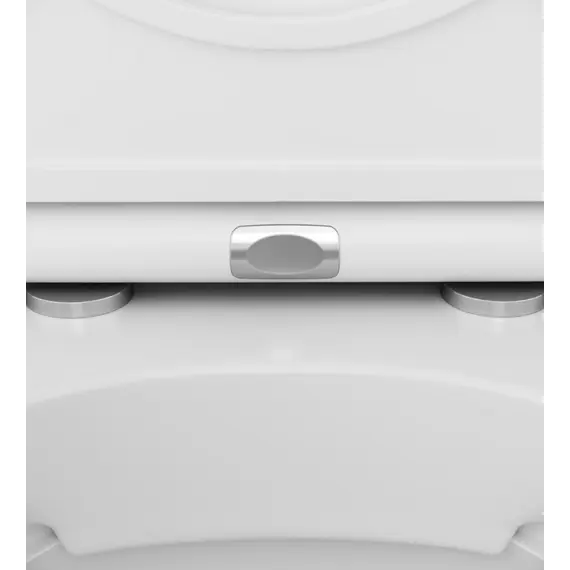 AM.PM Инсталл с клав Pro L белый с подв унит Spirit V2.0 FlashClean с сид м/л