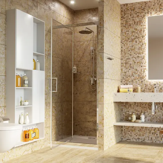 Душевая дверь WasserKRAFT Salm