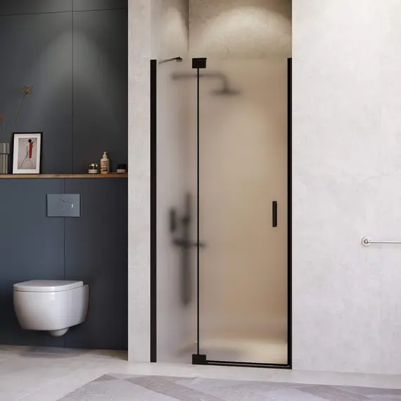 Душевая дверь RGW HO-014B