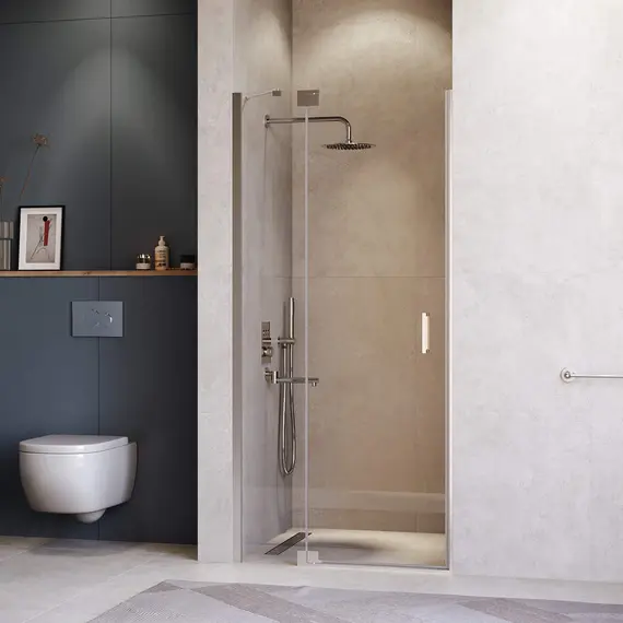 Душевая дверь RGW HO-014