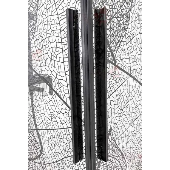 Душевая дверь в нишу AvaCan FB2