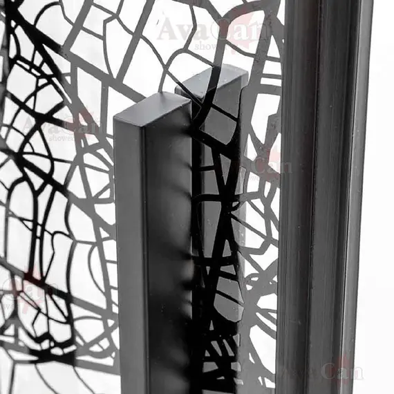 Душевая дверь в нишу AvaCan FB2