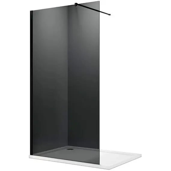 Душевая перегородка PARLY  T100G