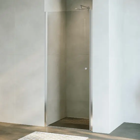 Душевая дверь RGW Dolphin TN-03 прозрачное/хром