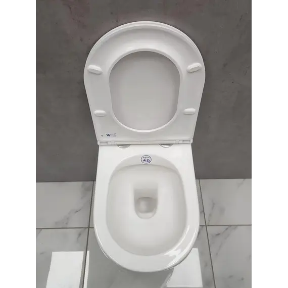 Унитаз подвесной WW NESENBACH 004 GL-WT