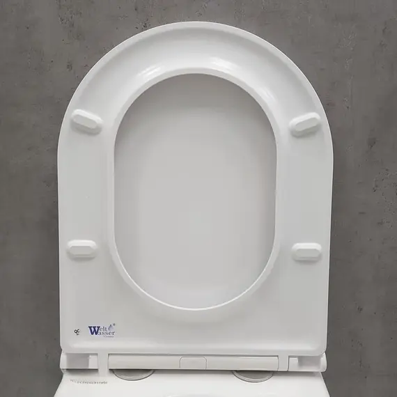 Унитаз подвесной WW NESENBACH 004 GL-WT