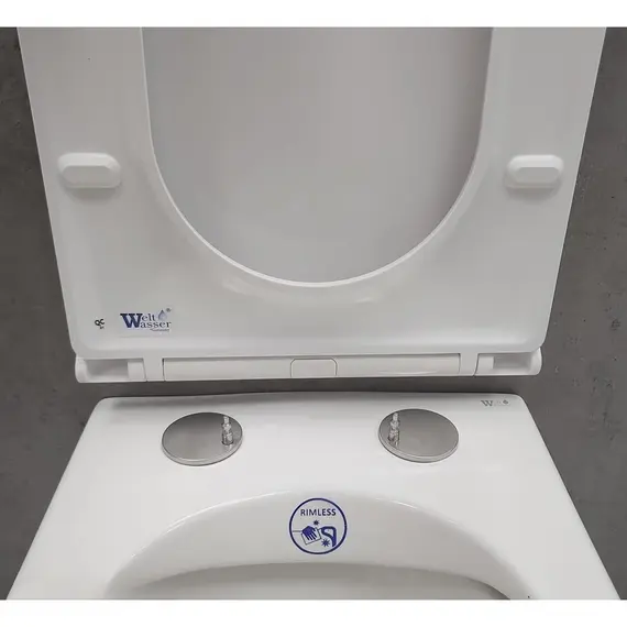 Унитаз подвесной WW NESENBACH 004 GL-WT