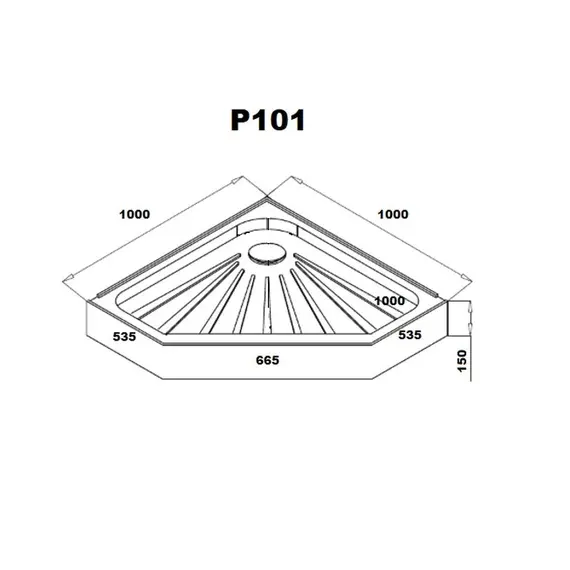 Поддон P101 Ceruttispa пентагональный (100х100х12)