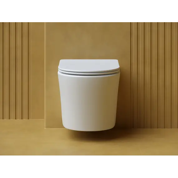 Подвесной унитаз CERAMICANOVA Balearica Rimless (цвет Белый Матовый)