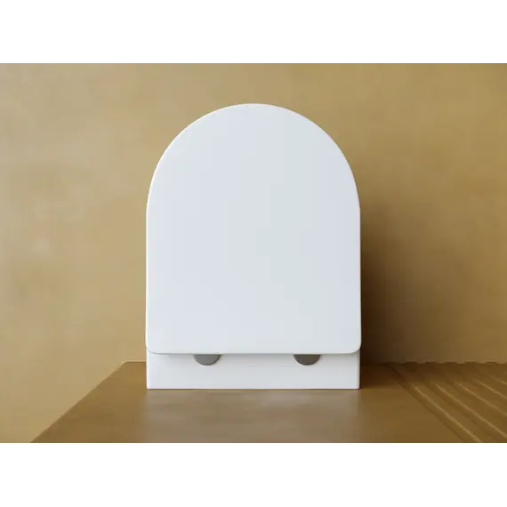 Подвесной унитаз CERAMICANOVA Balearica Rimless (цвет Белый Матовый)