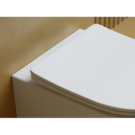 Подвесной унитаз CERAMICANOVA Balearica Rimless (цвет Белый Матовый)