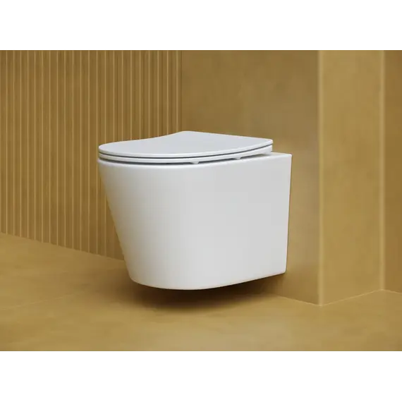 Подвесной унитаз CERAMICANOVA Balearica Rimless (цвет Белый Матовый)