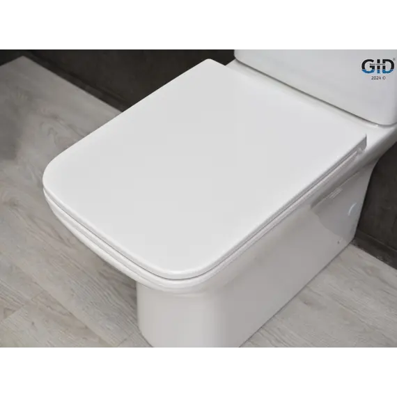 Напольный унитаз белый безободковый микролифт дюропласт Gid Tn2125