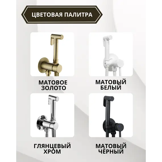 Душ гигиенический ACWEN 82003BG матовое золото