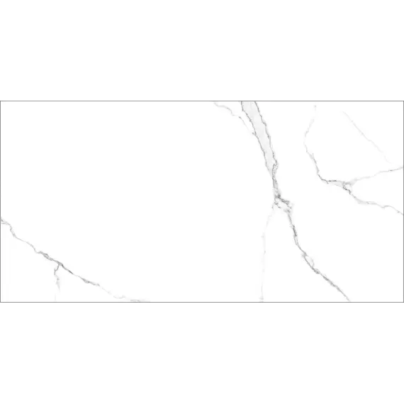 Керамогранит Гордость / Pride Белый 30x60 _ 1\46,08