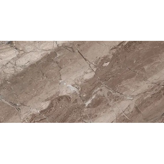 Плитка облиц. Sonesta GT Коричневый  50*25