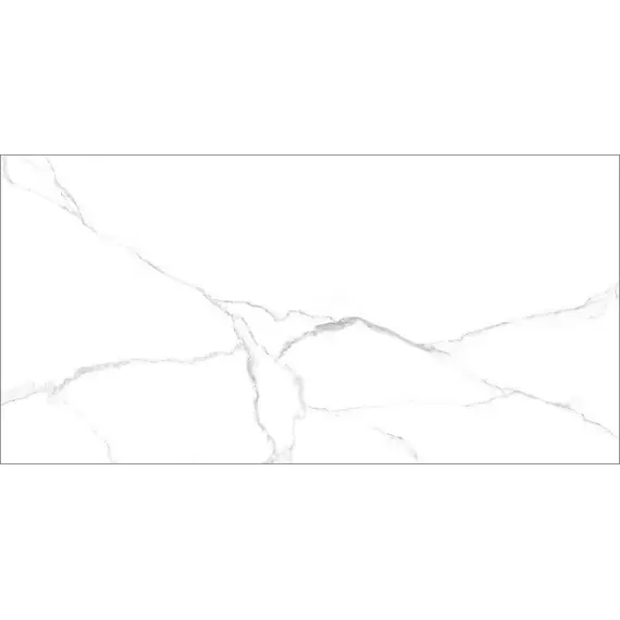 Керамогранит Гордость / Pride Белый 30x60 _ 1\46,08