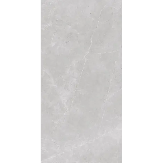  Керамогранит Ниоба / Nioba Серый 60x120 _ 1\40,32
