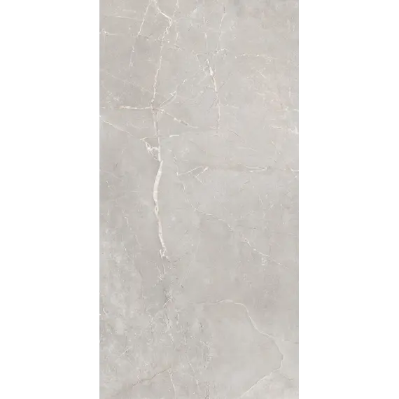 Керамогранит Согдиана / Sogdiana Серый 60x120 _ 1\40,32