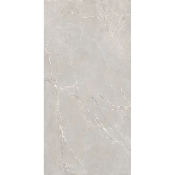 Керамогранит Согдиана / Sogdiana Серый 60x120 _ 1\40,32