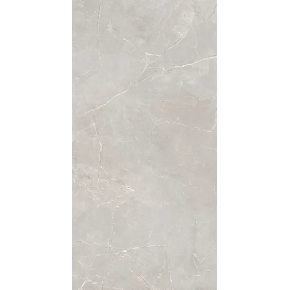 Керамогранит Согдиана / Sogdiana Серый 60x120 _ 1\40,32