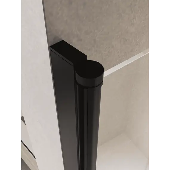 Душевая дверь RGW PA-104B