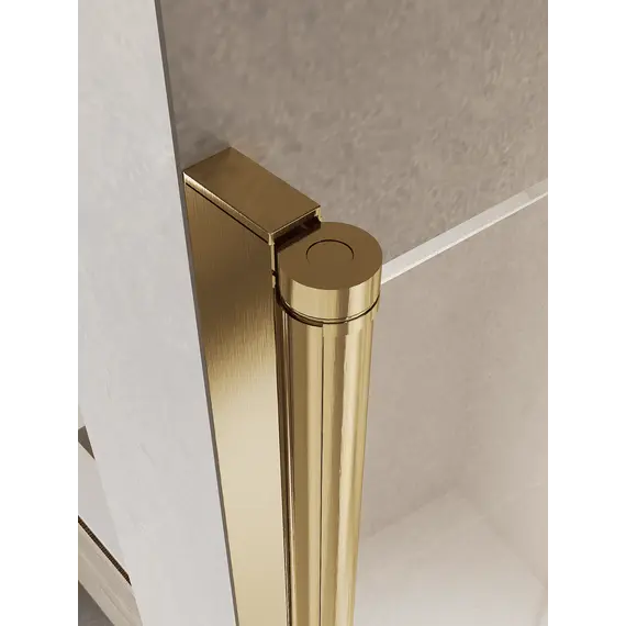 Душевая дверь RGW PA-104Gb