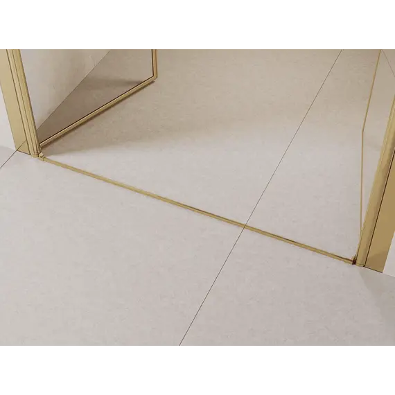 Душевая дверь RGW PA-104Gb