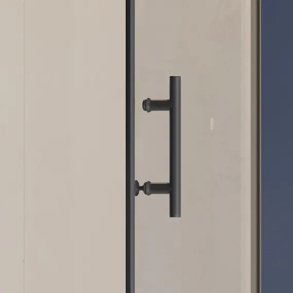 Душевая дверь RGW HO-011B