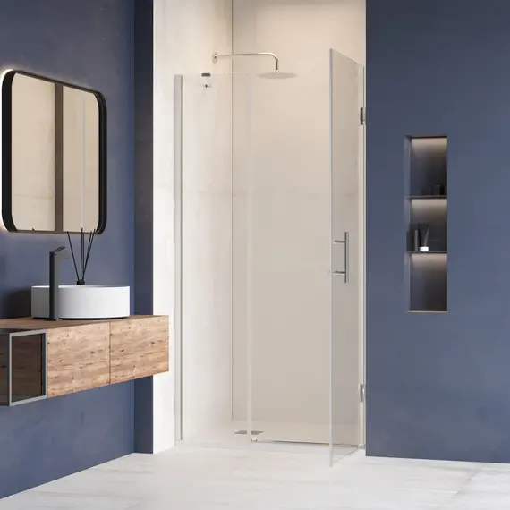 Душевая дверь RGW HO-012