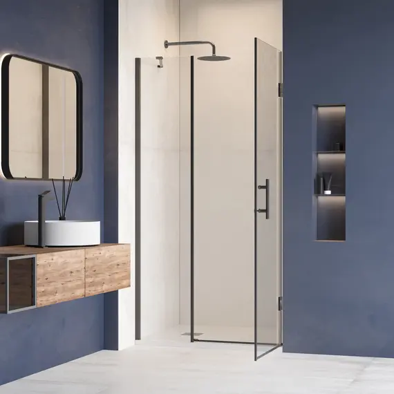 Душевая дверь RGW HO-012B