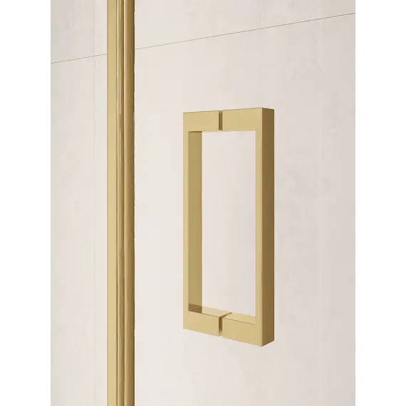 Душевая дверь RGW PA-104Gb