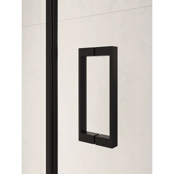 Душевая дверь RGW PA-104B