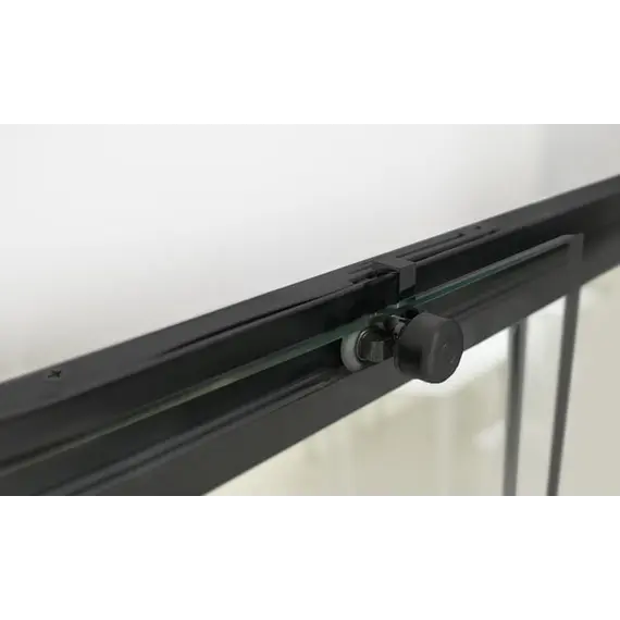 Душевая дверь RGW LE-12B