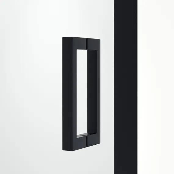 Душевая дверь RGW PA-016B