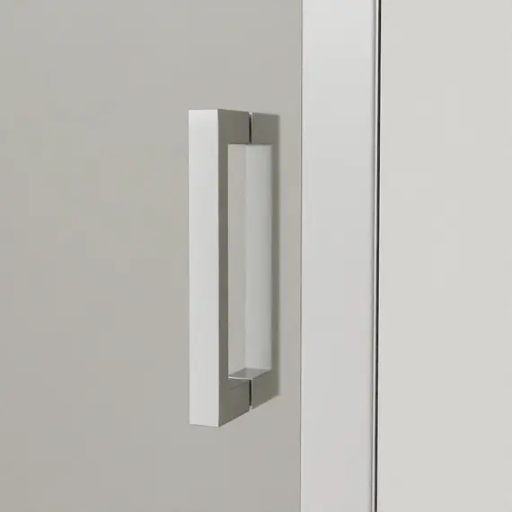 Душевая дверь RGW PA-016