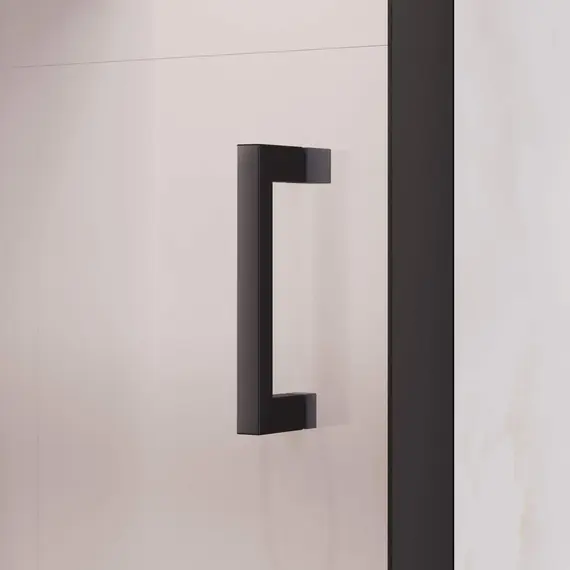 Душевая дверь RGW PA-017B