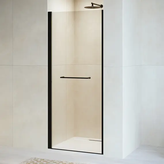 Душевая дверь RGW PA-103B прозрачное стекло