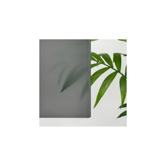 Душевой уголок RGW CL-56 тонированное/хром