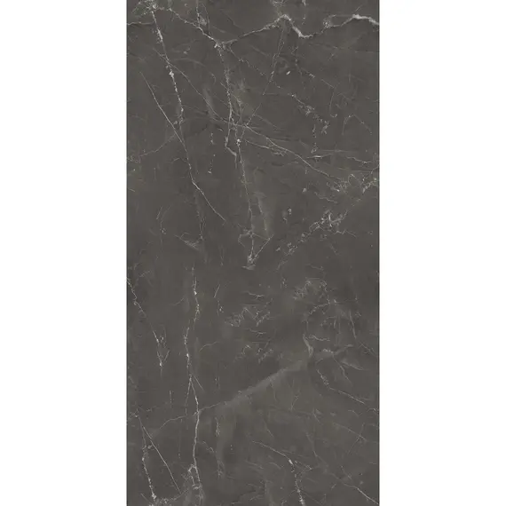 Керамогранит AVS Nivea Grey 60x120 полированный