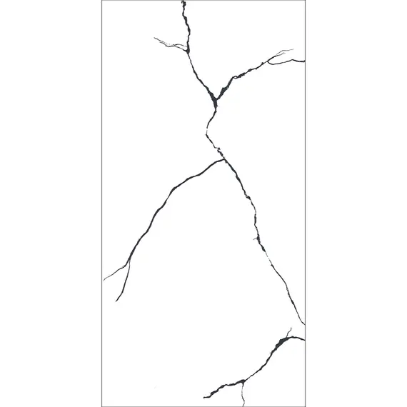 Керамогранит AVS Bettal Black 60x120 полированный/карвинг